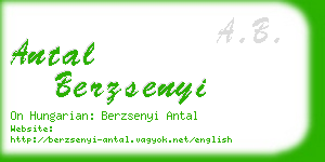 antal berzsenyi business card